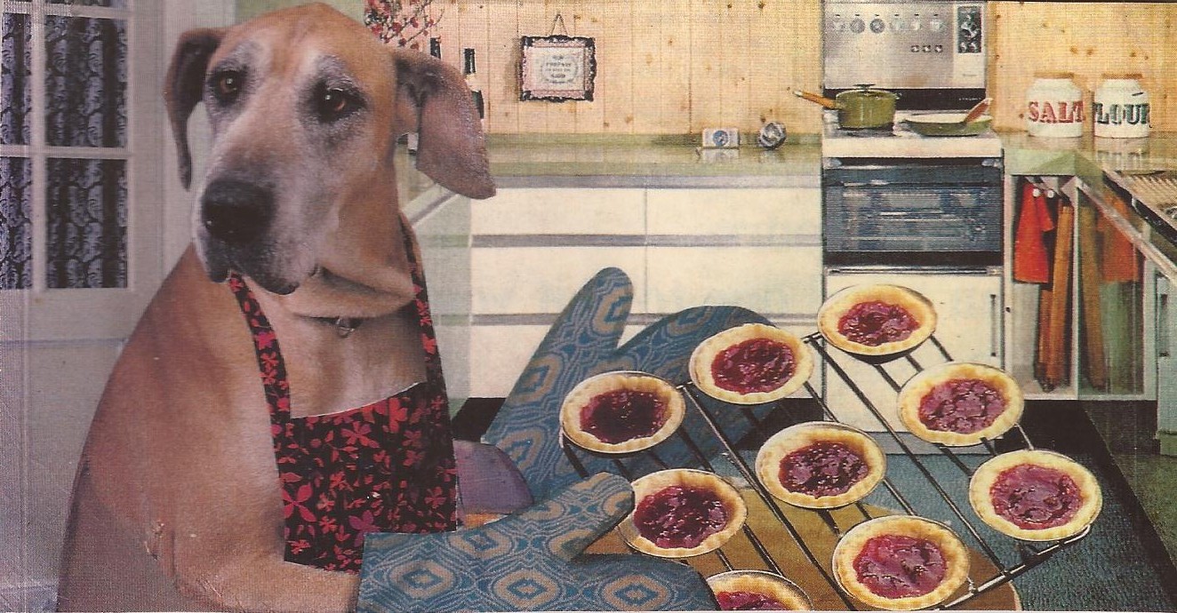 Baking Dog