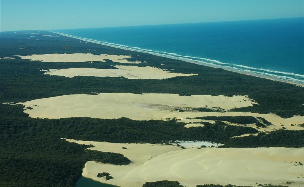 Seashalia Hervey Bay and surrounds 18th June 2011