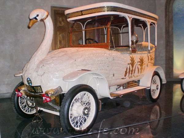 Nice Swan