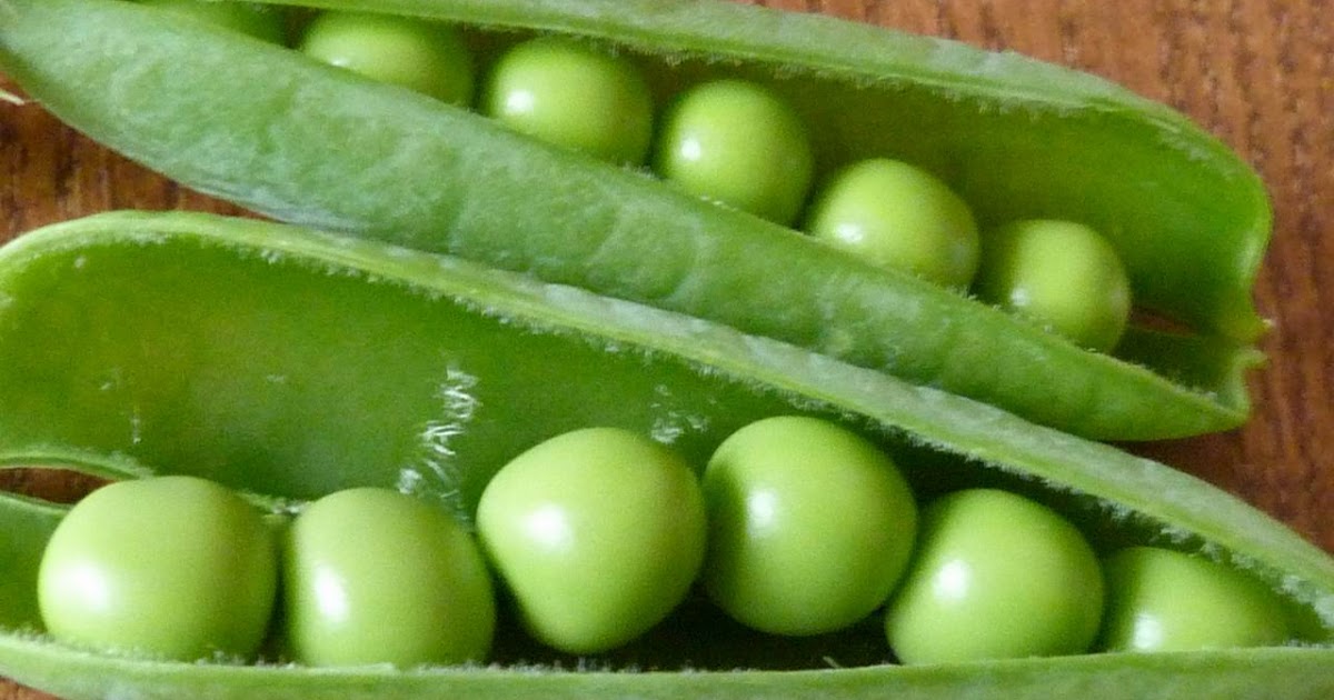 Auf in den Odenwald! Frische Erbsen