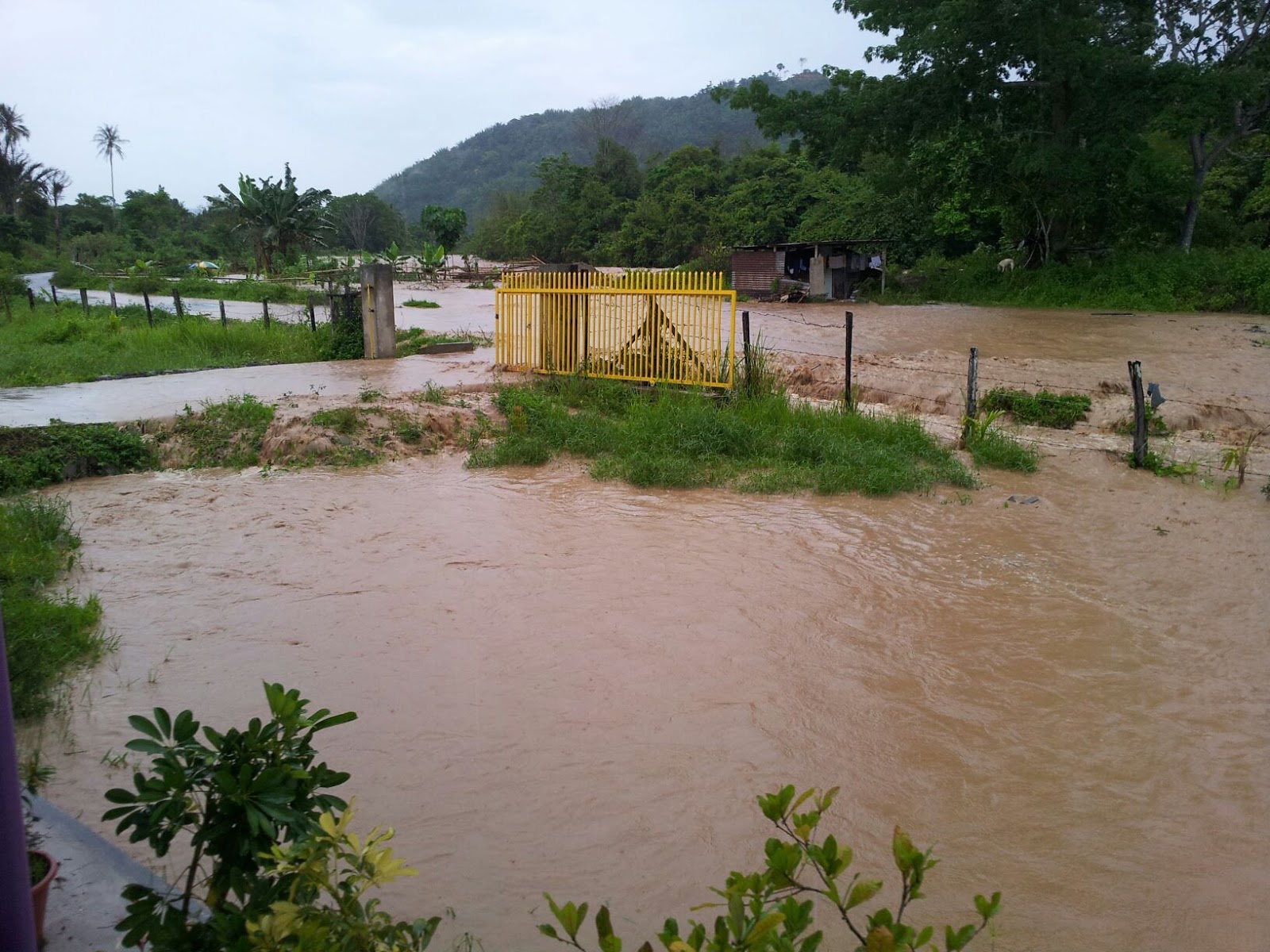 Banjir Besar Melanda daerah Tambunan Sabah Pentas Bicara Ilmu