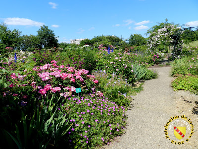 VILLERS-LES-NANCY (54) - La roseraie du Jardin botanique du Montet