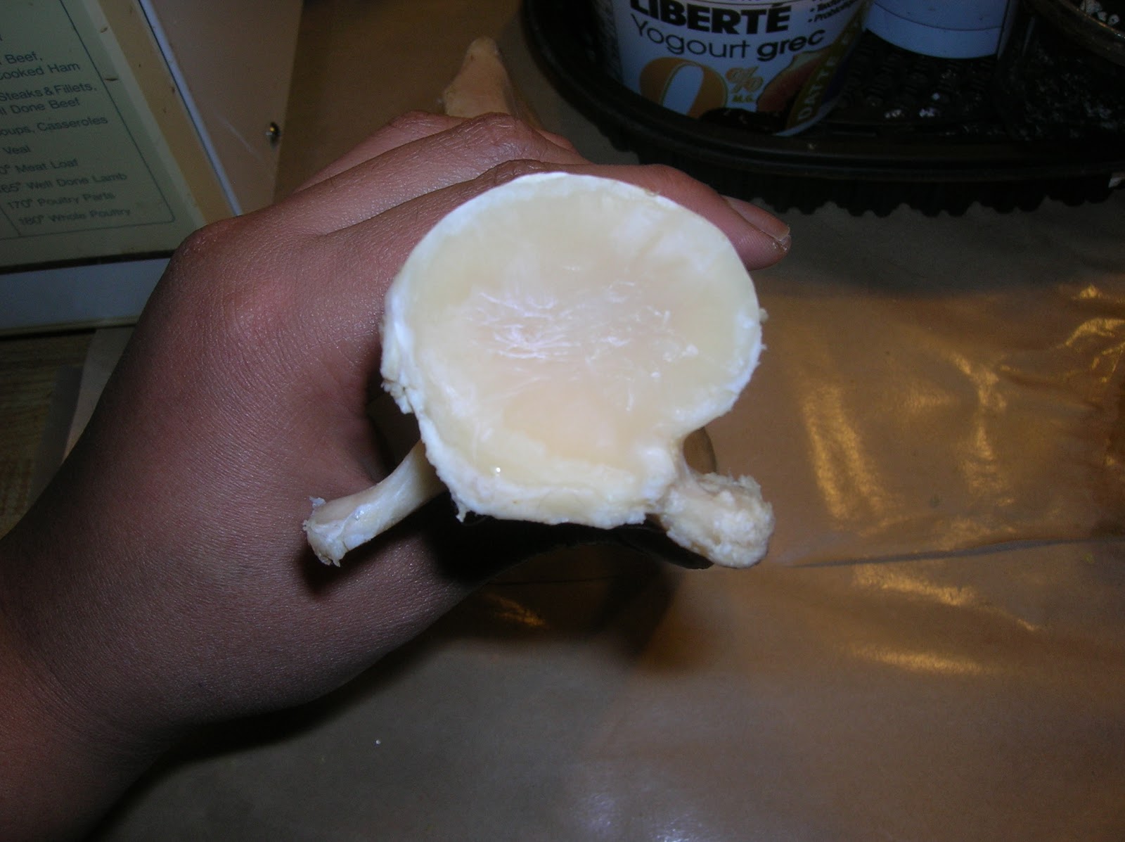 Musings of Musang How to clean and degrease deer bones for making tools