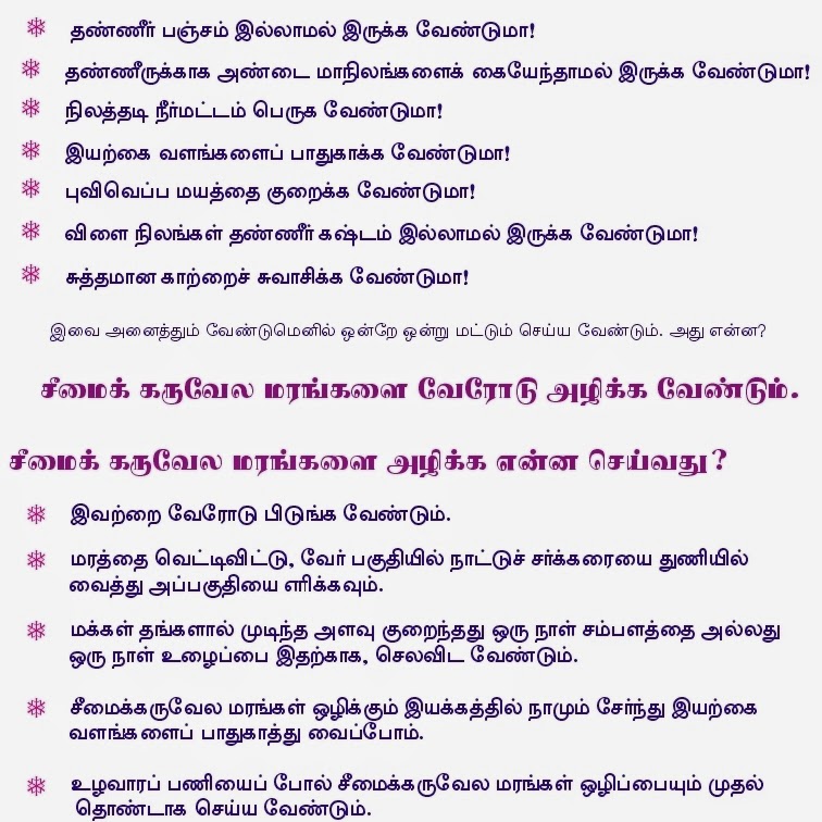 Manithatheni's activities Seemai Karuvelam Tree _ History