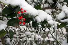 Concurso de fotografía: Valgañón y subida al acebal