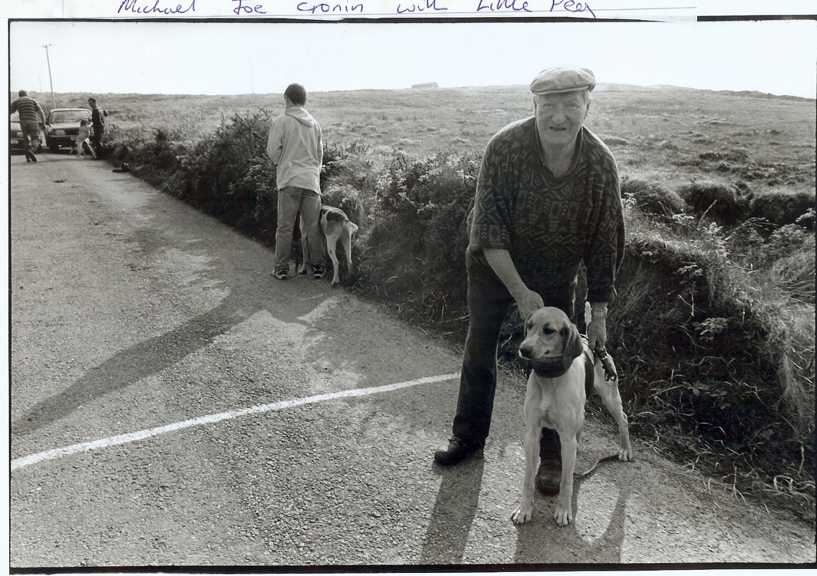 kerry beagle association