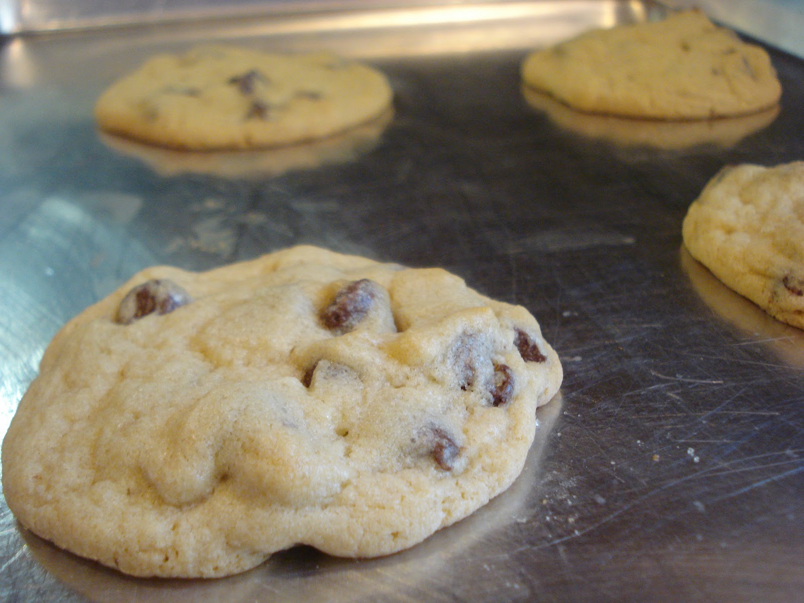 The Cookie Scoop Chocolate Chip Malted Milk Cookies