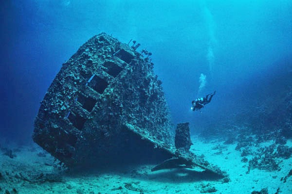 pecios costa brasileña pecios costa brasileña