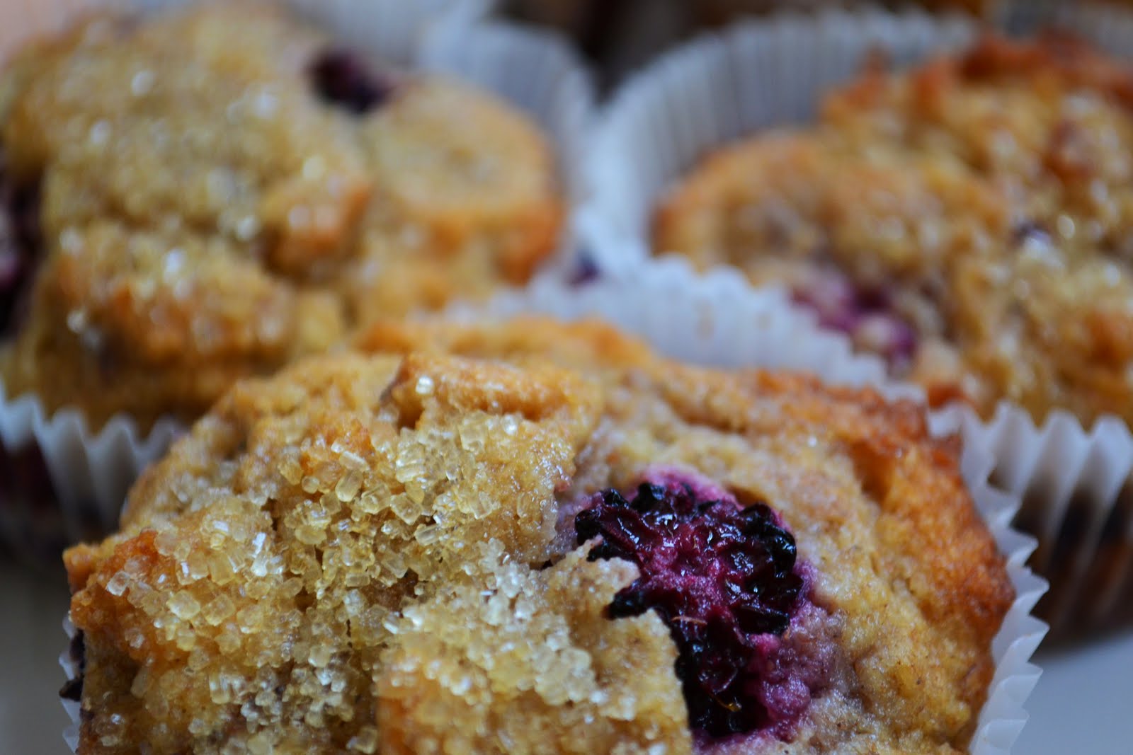Nourish The Roots Whole Wheat Blackberry Muffins