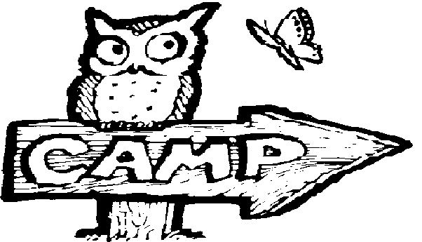 Mom Camp : : Anne McAllister
