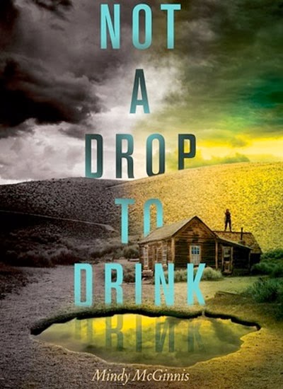 not a drop to drink book not a drop to drink book