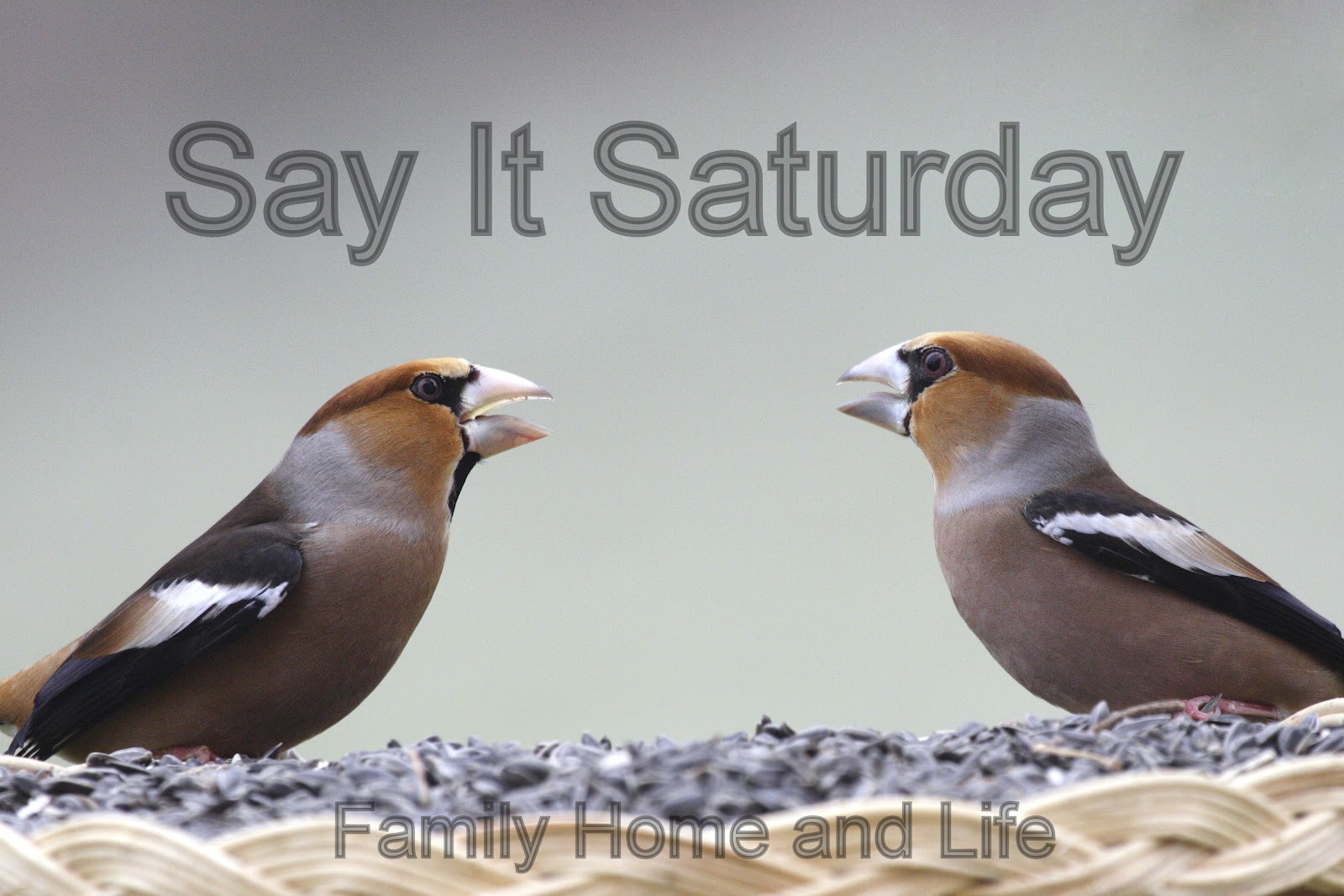 Say+It+Saturday+link+party+for+grand+par