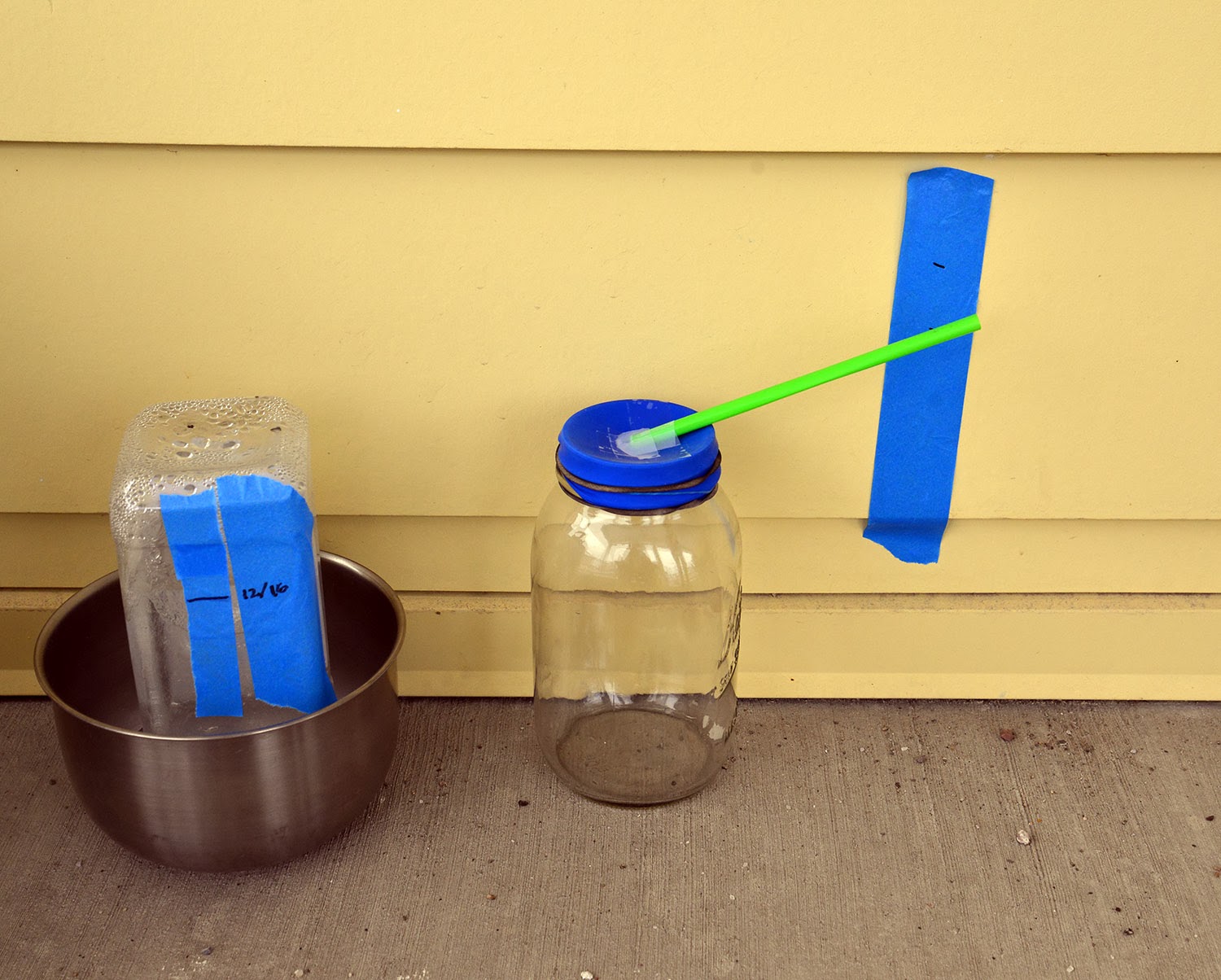 A school of fish Tornadoes, Hurricanes, Convection Currents, and