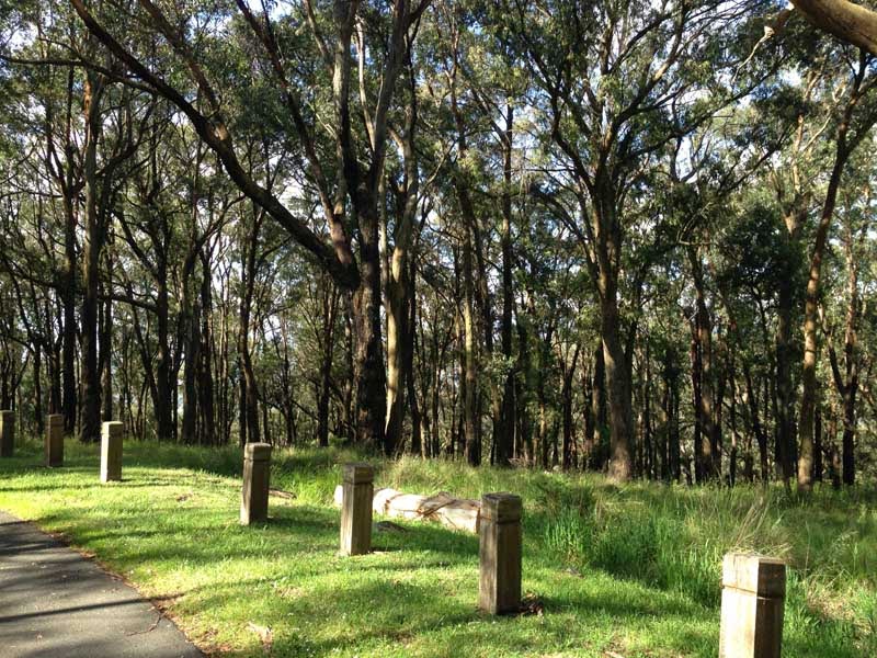 Dandenong Ranges Villages and Views