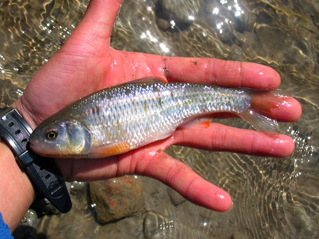 [Image: IMG_1408_post.jpg]