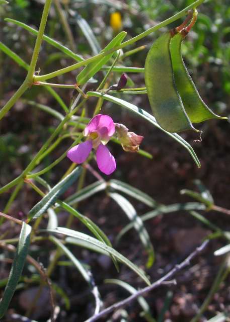 Index Of Wp Content Uploads Remote Image Cache 4 Bp Blogspot Com