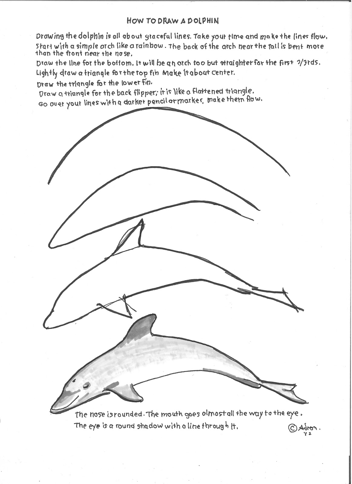  How To Draw A Dolphin Sketch for Kids