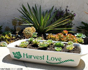 DIY Repurposed Succulent Planter on Diane's Vintage Zest!  #craft #repurpose #garden #diy #vinyl
