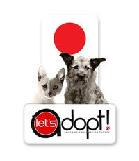Let's Adopt!