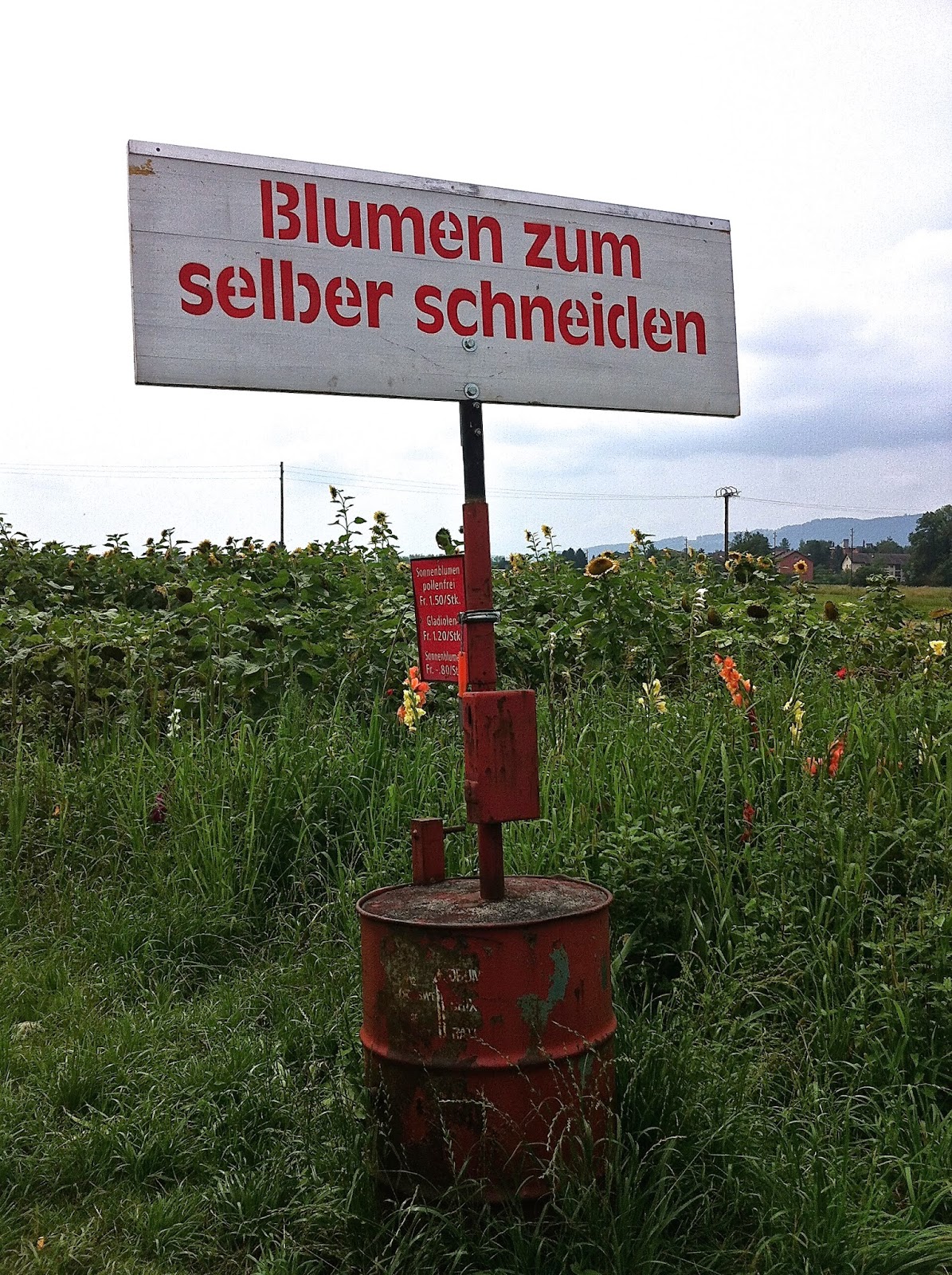 Selber Schneiden Selber Schneiden