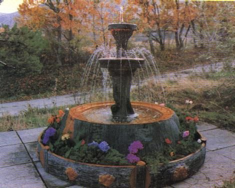 Cuidado de Plantas | Page 49