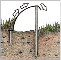 One-way amphibian fence One-way fencing