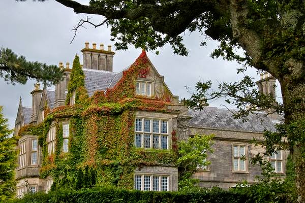 Killarney National Park - the oldest Ireland castle gardens