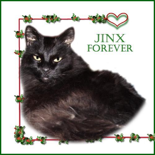 Jinx Forever