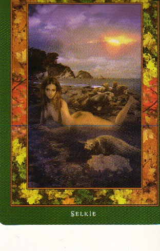 Tarot El Anillo de las Hadas: Selkie