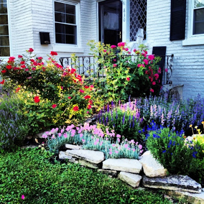 The Beautiful Exchange: My Garden