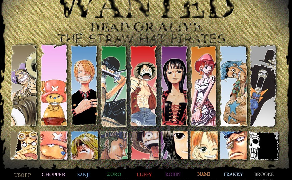 One Piece Subtitle Indonesia