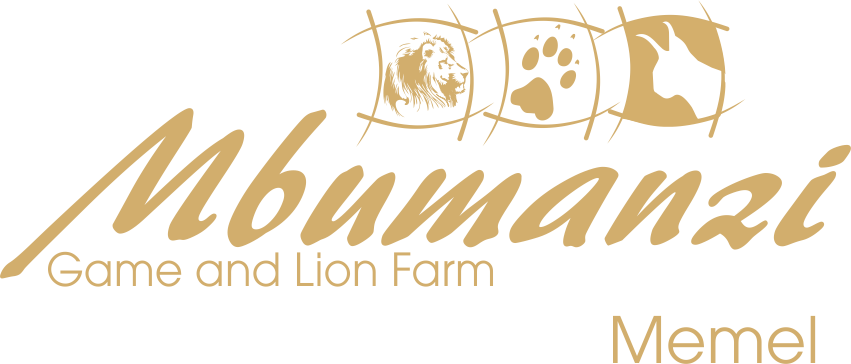 Mbumanzi Game & Lion Farm