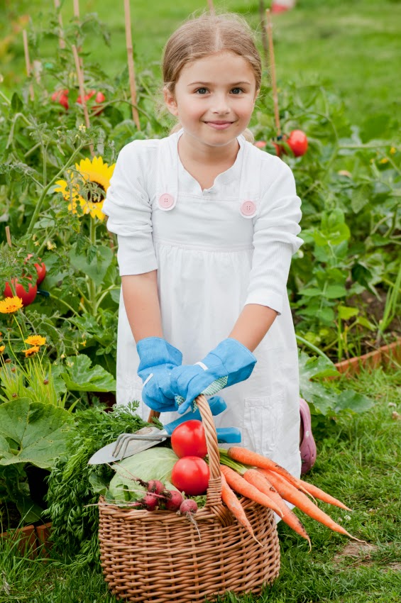 Vegetable Gardening with Mike the Gardener Should gardening be taught