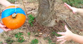 Second graders will love this pumpkin  engineering opportunity! Comes with NGSS alignment so it can be used in the classroom or at home.