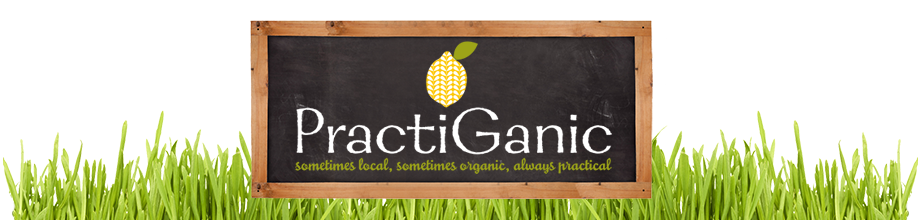 PractiGanic: Vegetarian Recipes and Organic Living