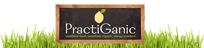 PractiGanic: Vegetarian Recipes and Organic Living