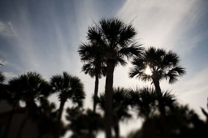 fripp island south carolina destination wedding photography