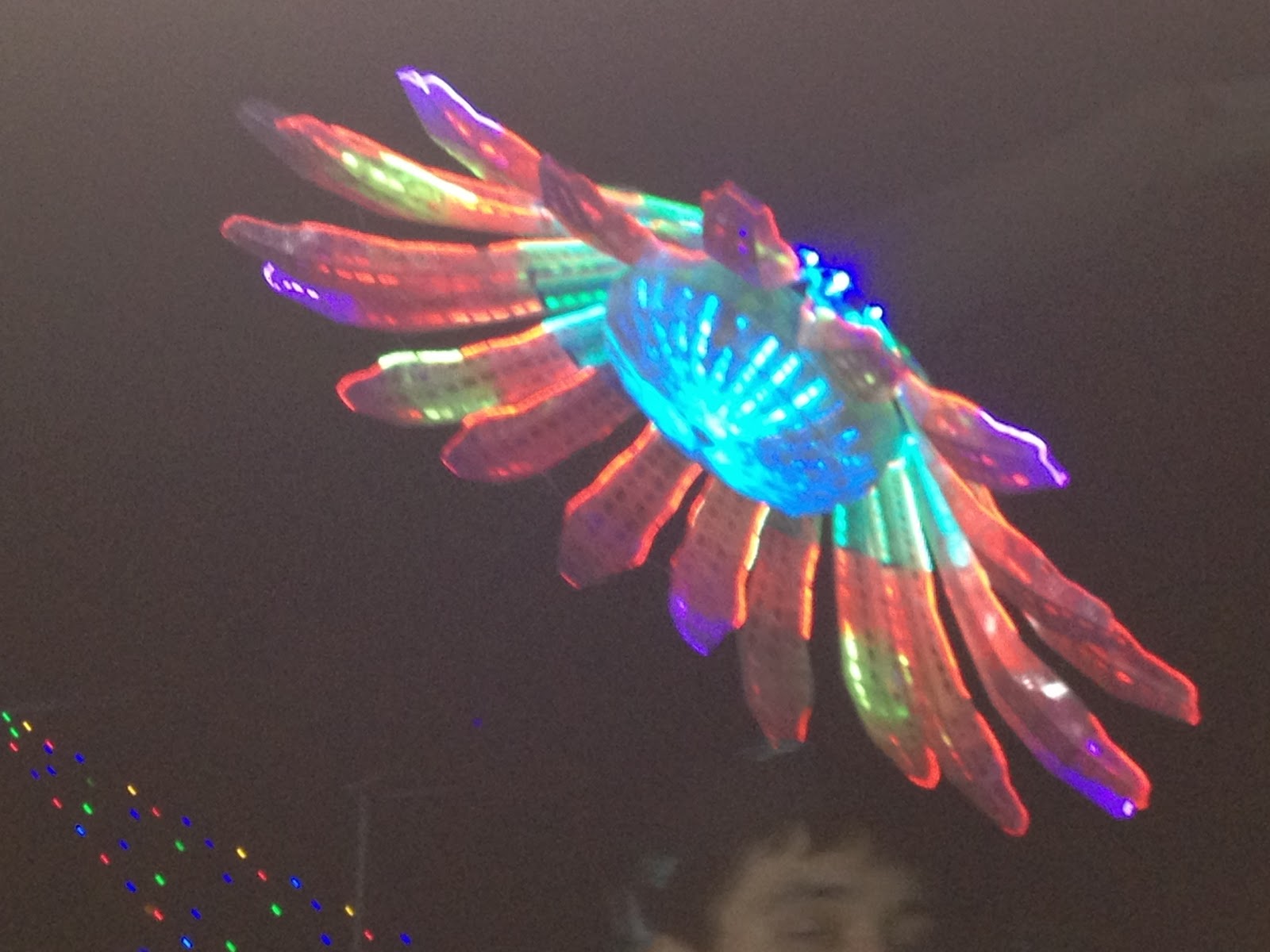 fashionloco EDC and 40 degree weather