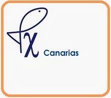 PX CANARIAS