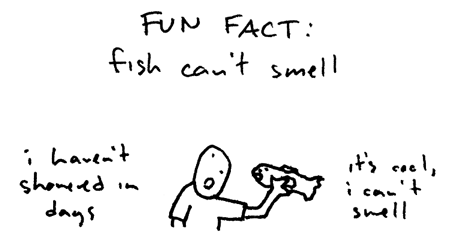 fish smell