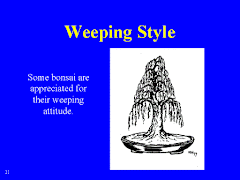 Weeping Style