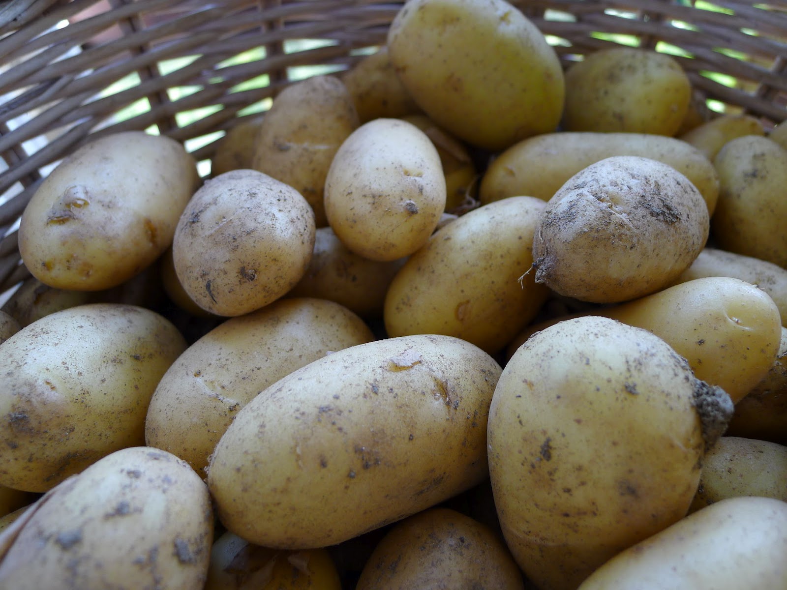 MY KITCHEN IN SPAIN POTATOES "A LO POBRE" ARE A CLASSIC