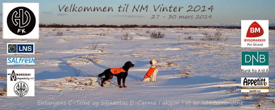 NM Vinter 2014