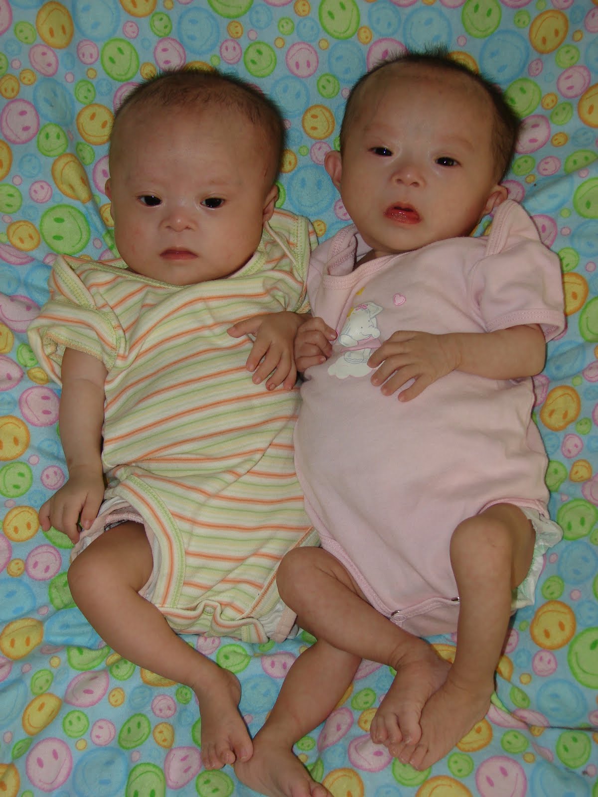 Little Flower Projects Extra chromosome, extra cuteness!