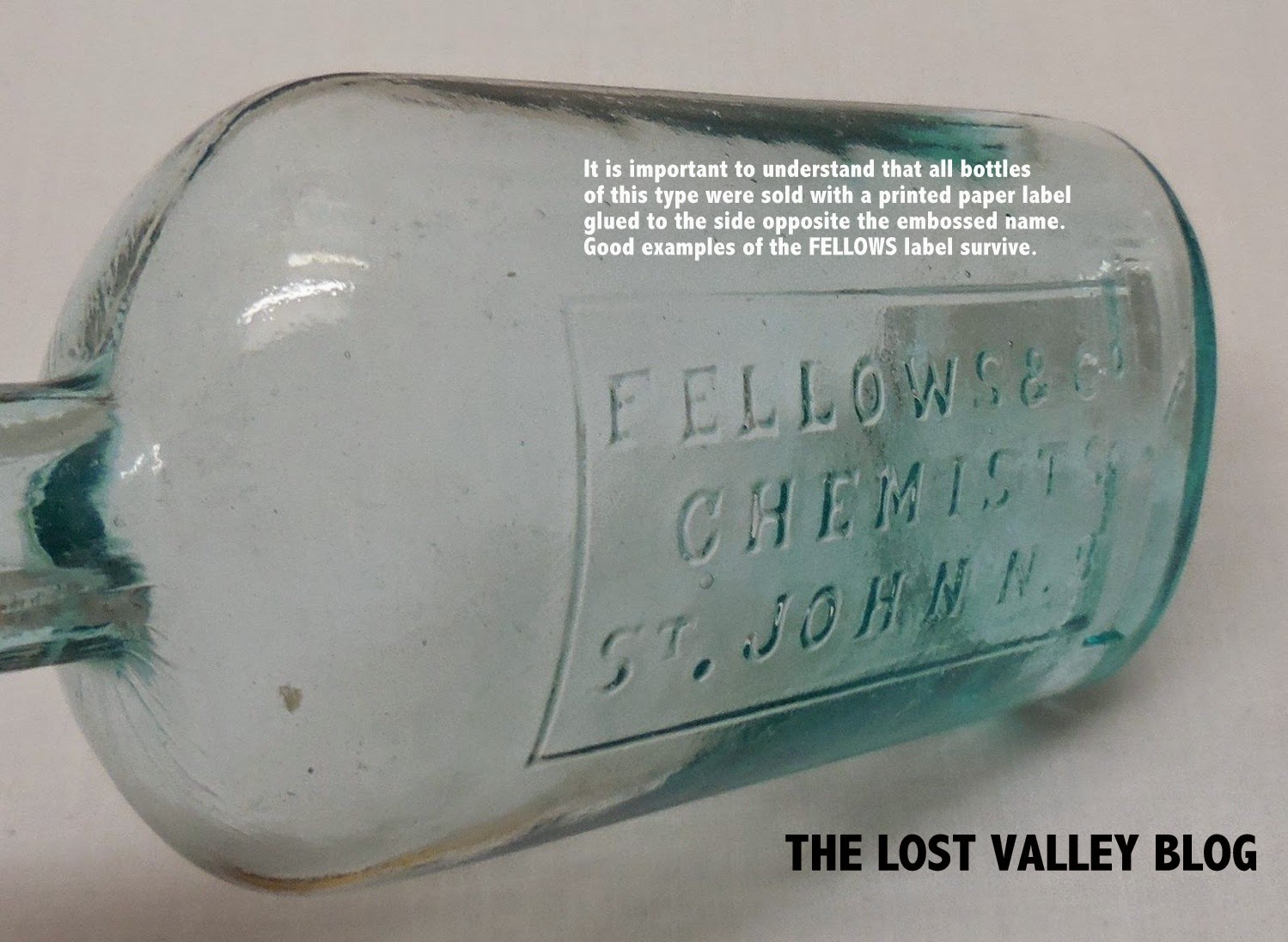 The Lost Valley An History of Saint John, N.B. Saint John