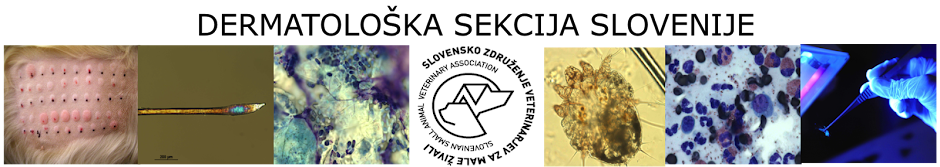 Dermatološka sekcija Slovenije