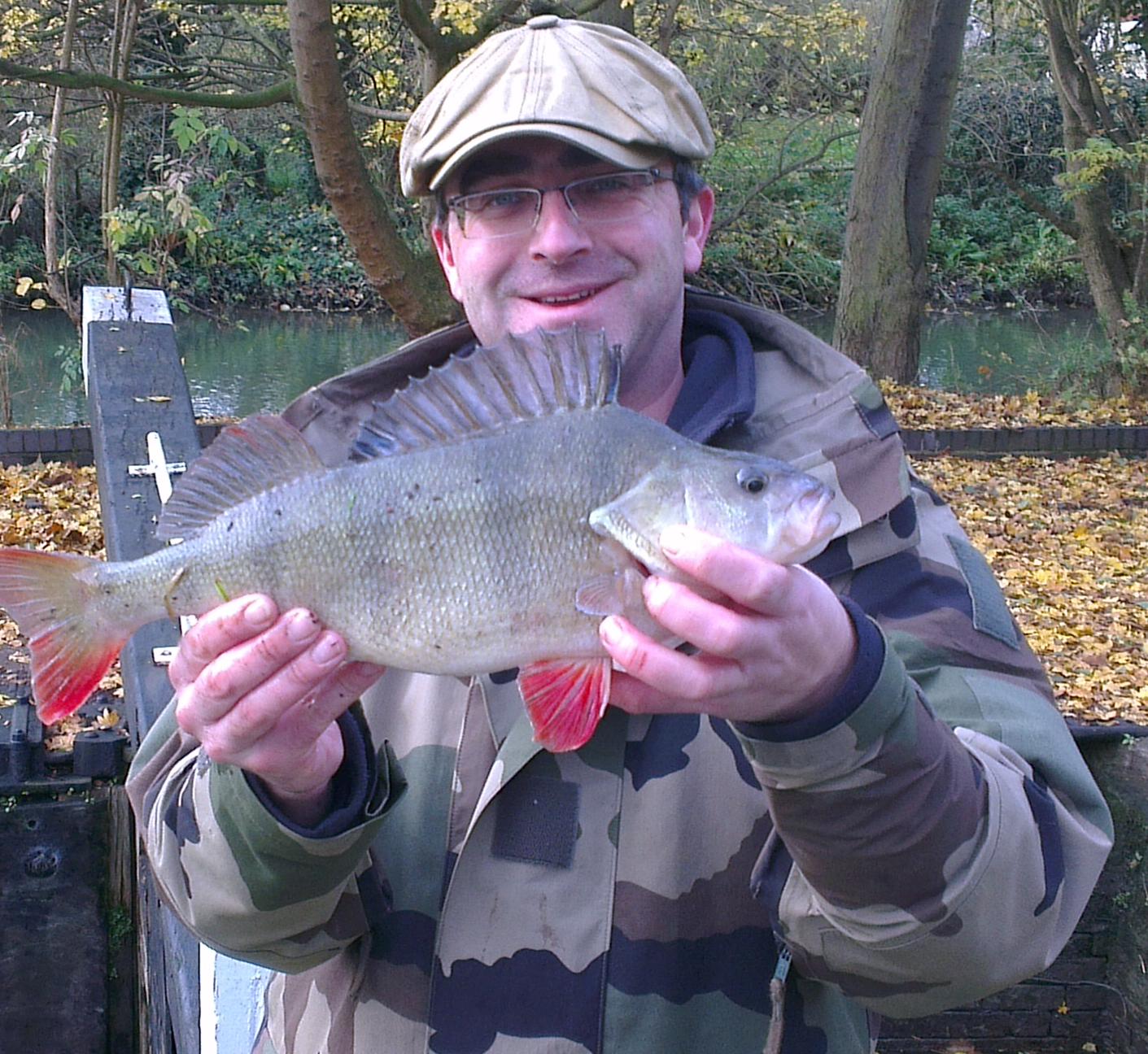 D Heaps fishing adventures November Perch Spectacular