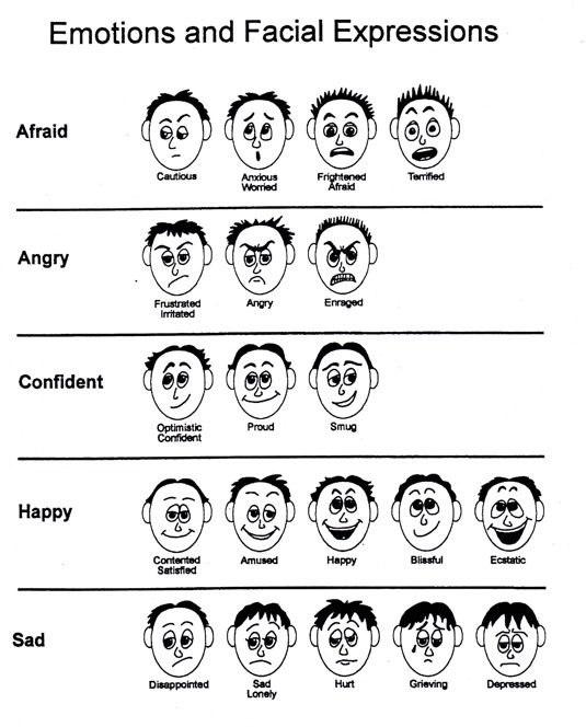 Feelings Identification Chart