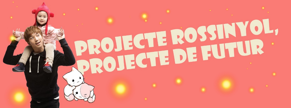 Projecte Rossinyol, projecte de futur