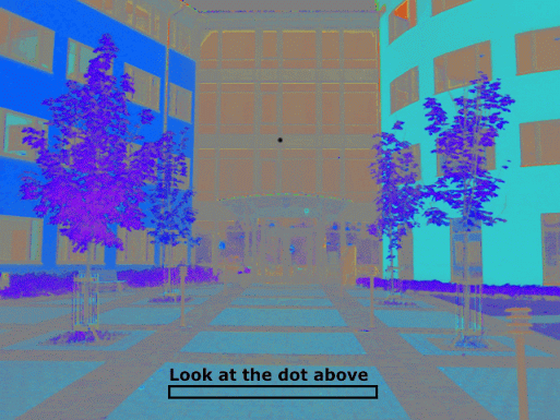 optical_illusion1.gi